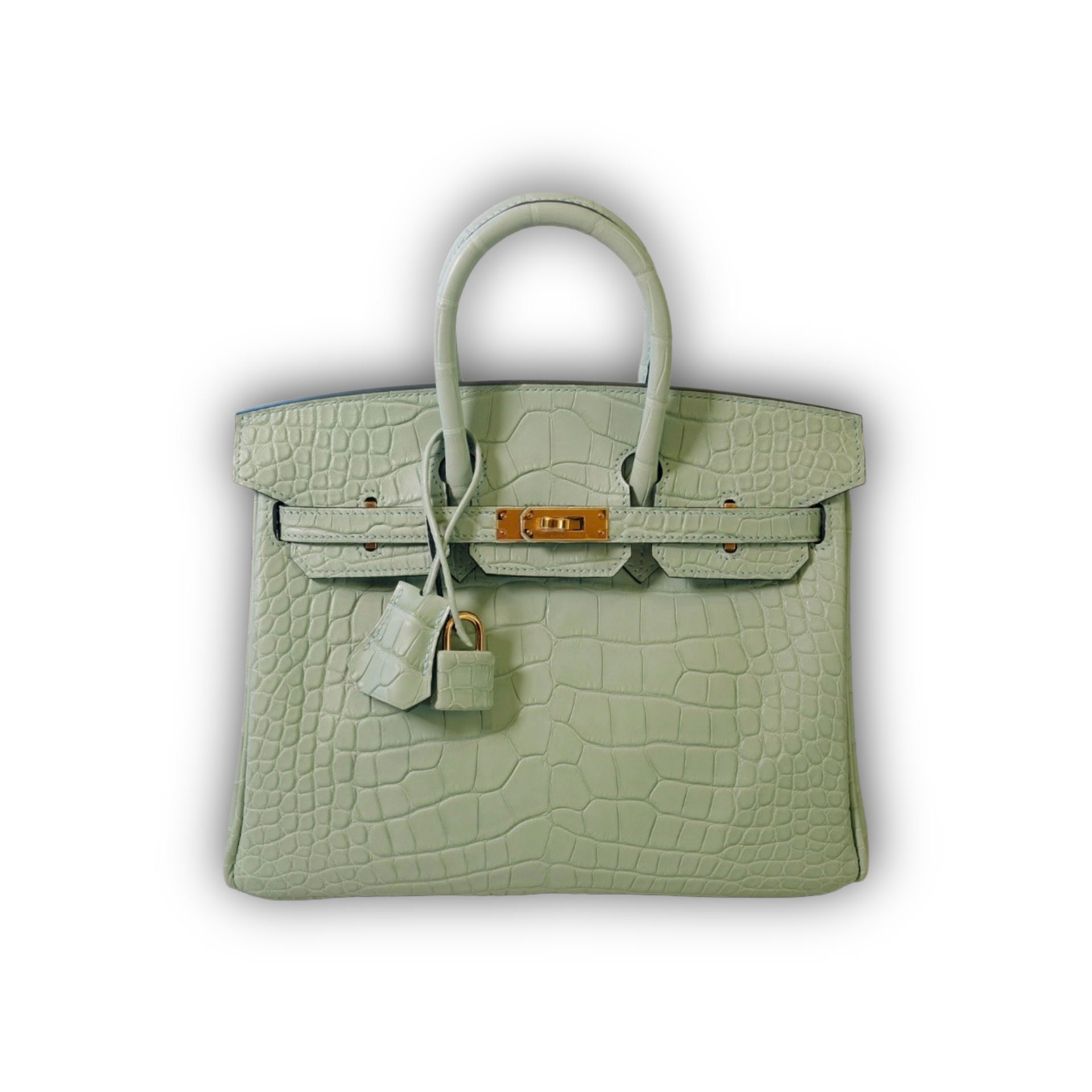 Hermes Birkin 25 Vert d'Eau Matte Alligator GHW