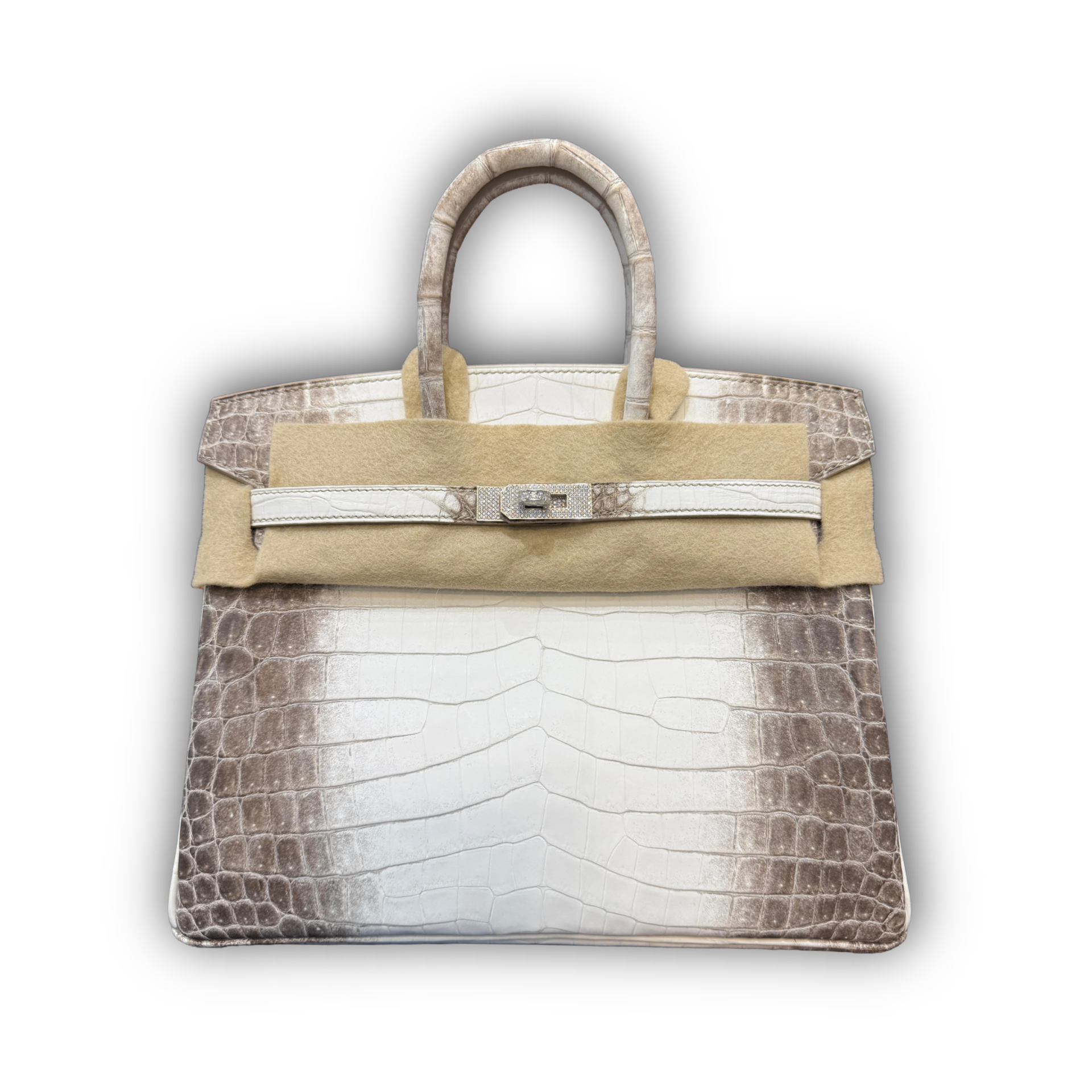 Hermes Birkin 25 Himalaya Niloticus Crocodile Gold Diamond Hardware — view 1
