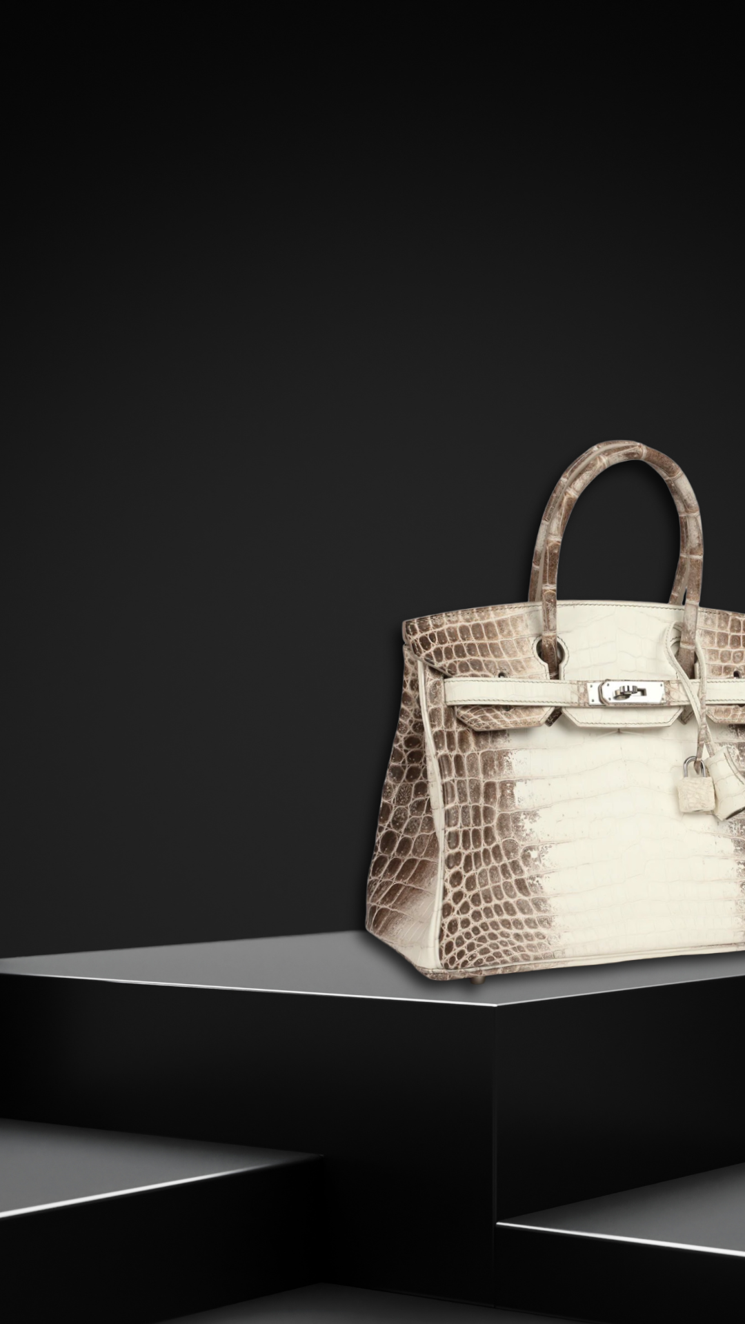 Hermès Birkin 25 Himalaya presented on a dark editorial pedestal