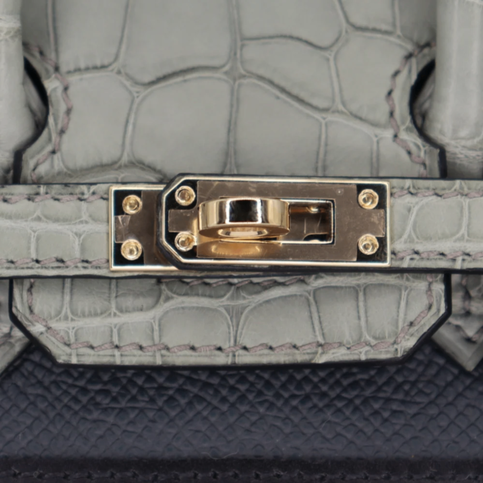 Hermes Birkin 20 Sellier Faubourg House Rainy Day Jour De Pluie Permabrass Hardware — view 5