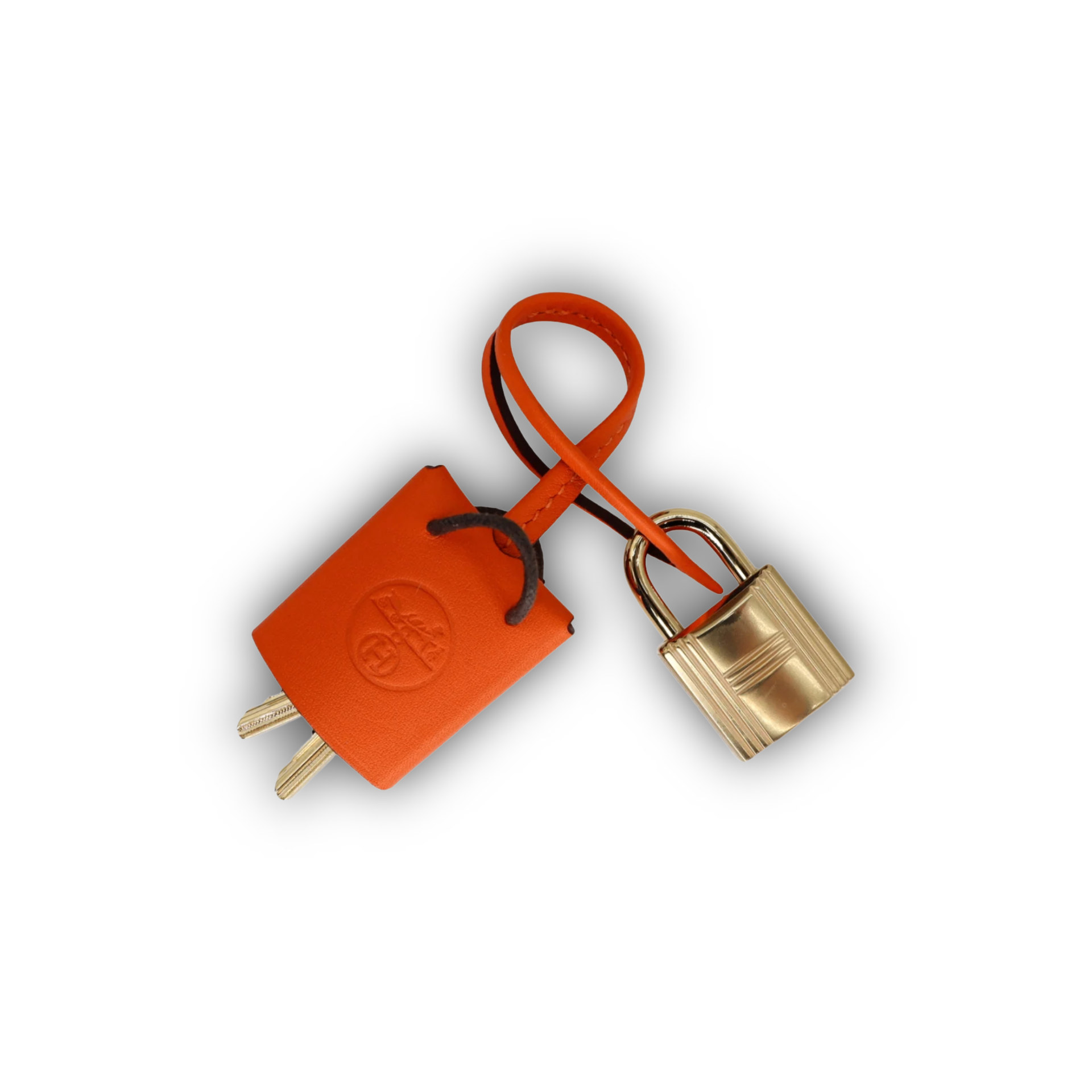Hermes Birkin 20 Sellier Faubourg House Rainy Day Jour De Pluie Permabrass Hardware — view 8