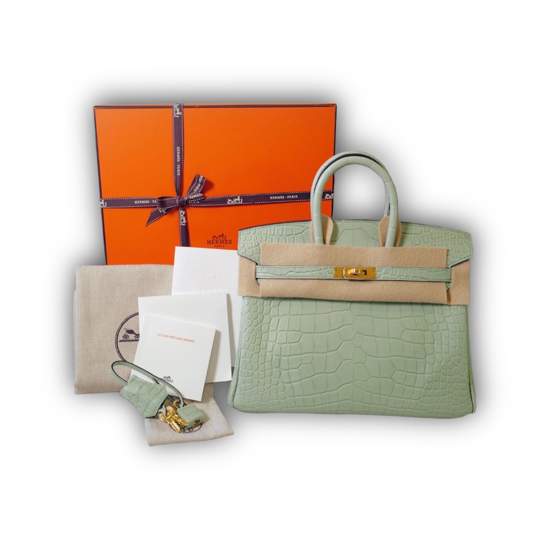 Hermès Birkin 25 Vert d’Eau Matte Alligator with Gold Hardware — Instagram photo 1 of 4