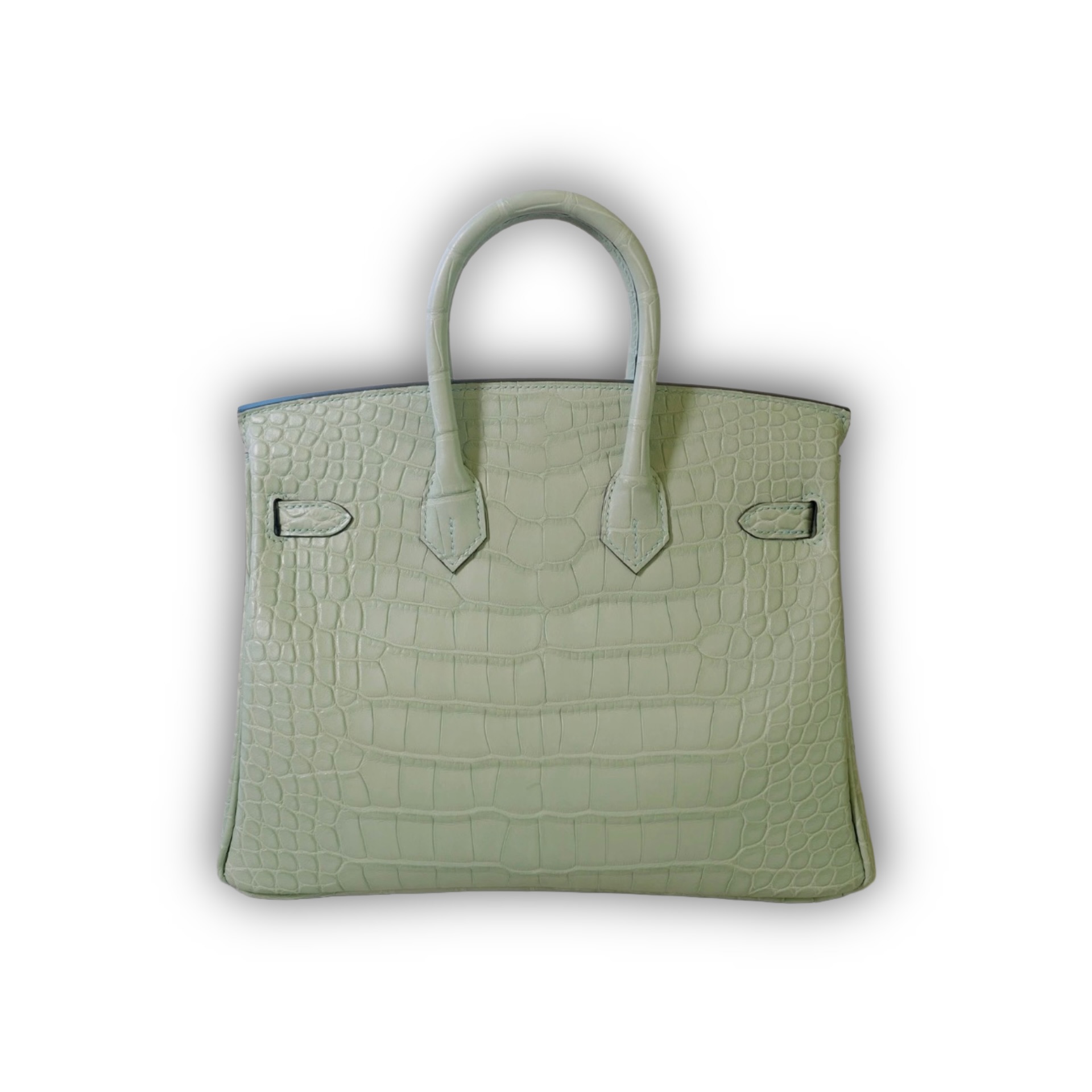 Hermès Birkin 25 Vert d’Eau Matte Alligator with Gold Hardware — Instagram photo 3 of 4
