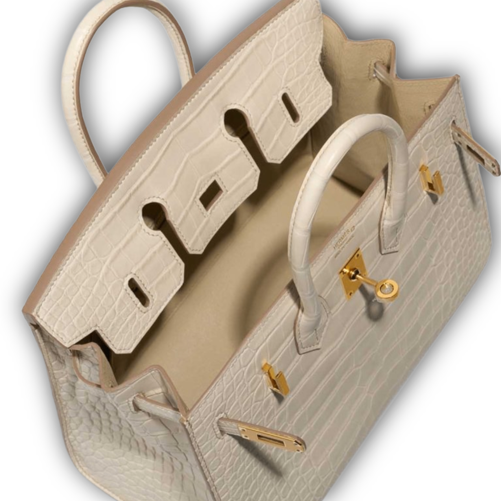 Hermes Birkin 25 Beton Alligator GHW — view 7