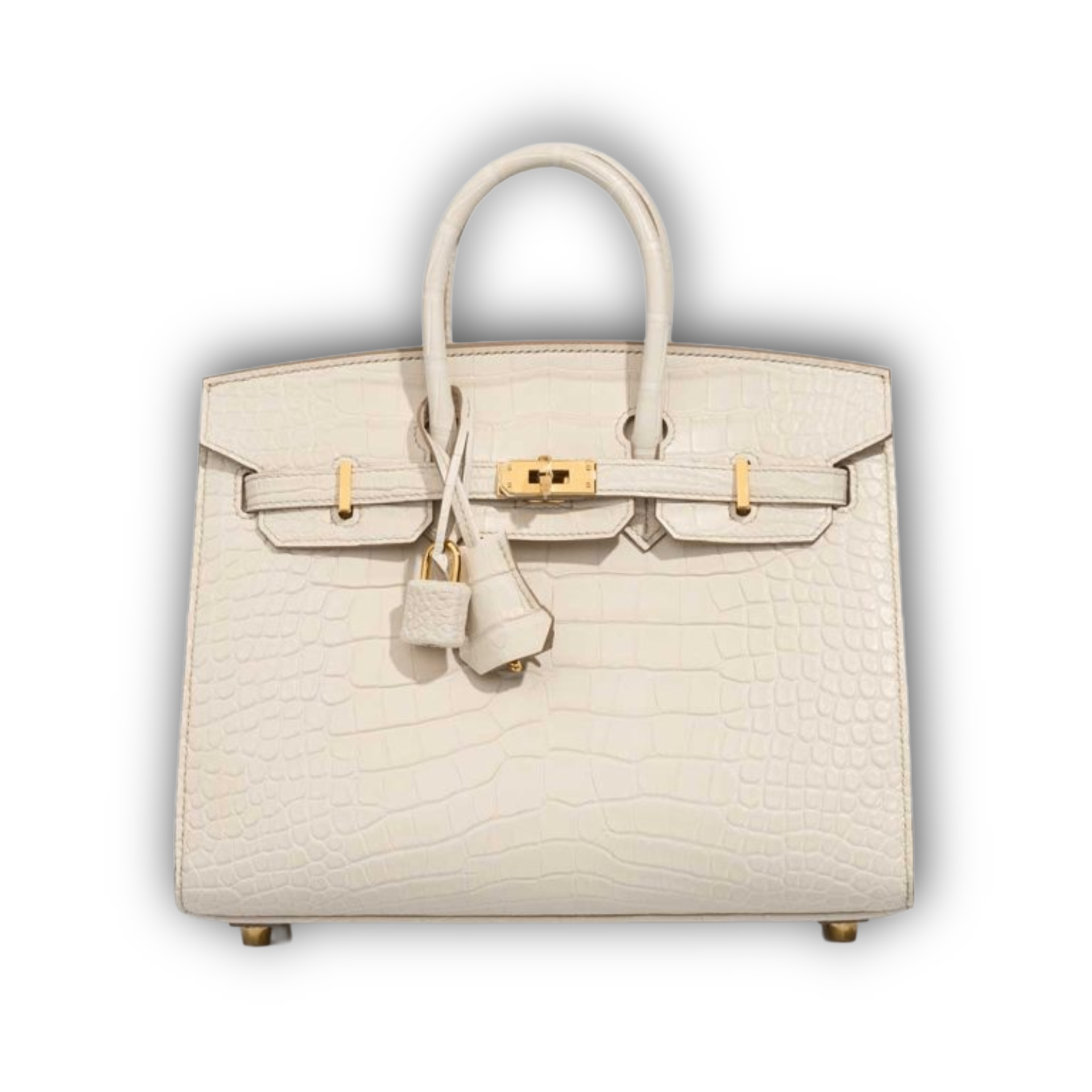 Hermes Birkin 25 Beton Alligator GHW