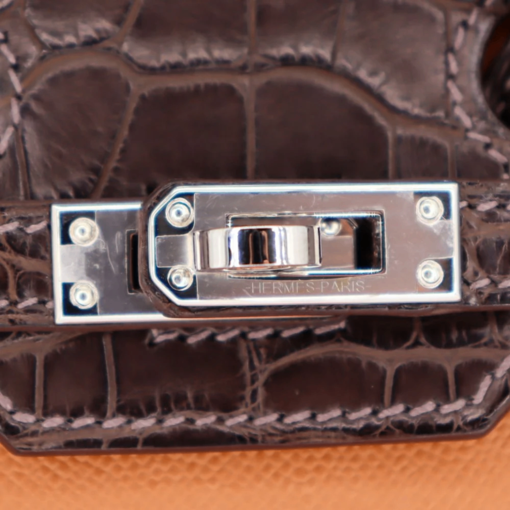 Hermes Birkin 20 Sellier Faubourg House Day PHW — view 5